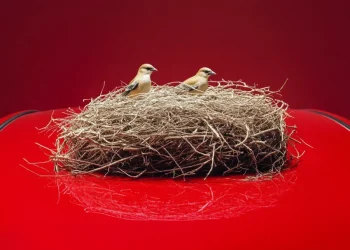 У США дикі птахи звили гніздо у розкішному Dodge Viper – Автоновини