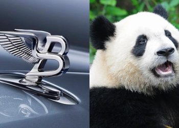 Bentley представила ексклюзивний автомобіль, присвячений панді – Автоновини