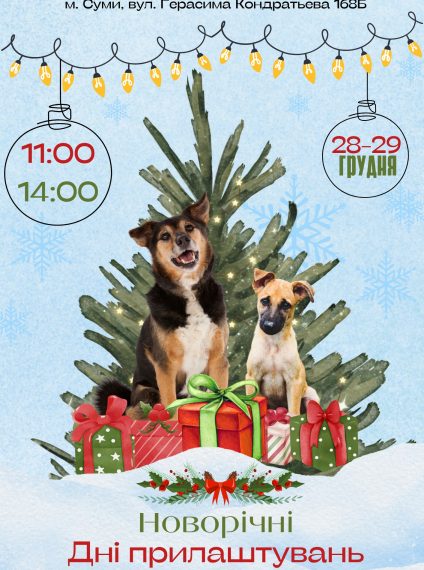 На цих вихідних у Сумах в притулку для собак – новорічні дні прилаштувань – Суми та область