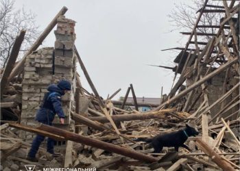 Пошукова собака Туся із Сумщини допомогла рятувальникам  на місці ракетного удару в Златополі – Суми та область