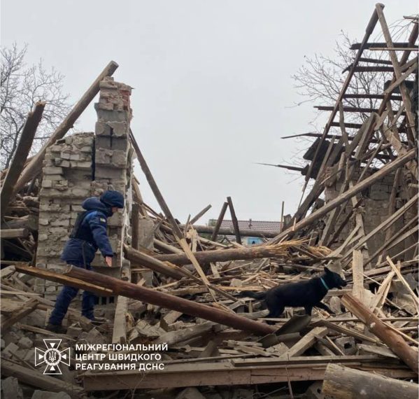 Пошукова собака Туся із Сумщини допомогла рятувальникам на місці ракетного удару в Златополі – Суми та область