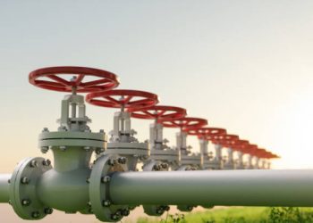 Проректора СНАУ судитимуть за службову недбалість при закупівлі газу зі збитками понад 1 млн грн – Суми та область