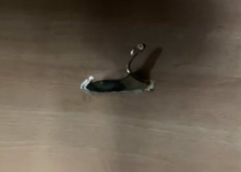 Сумську маршрутку пробило кулею – Суми та область