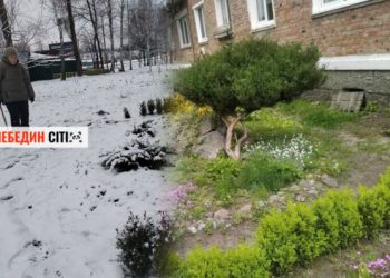 У Лебедині викрали рослини з клумби, яку багато років облаштовувала літня жінка – Суми та область