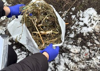 У Сумах патрульні за день виявили трьох наркозлочинців – Суми та область