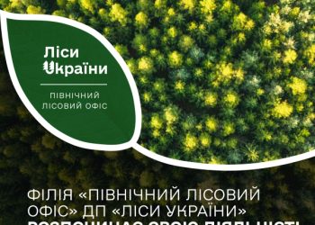 У Сумській області створено 4 надлісництва – Суми та область