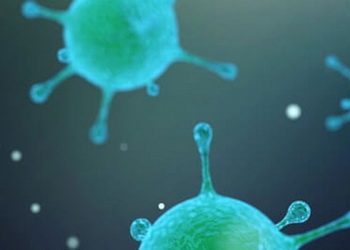 Держпродспоживслужба здійснює швидке оцінювання ризиків щодо блутангу – Економіка