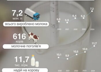 Річні удої в «Сігнет-Мілк» сягнули 11,7 тис. л на корову – Економіка
