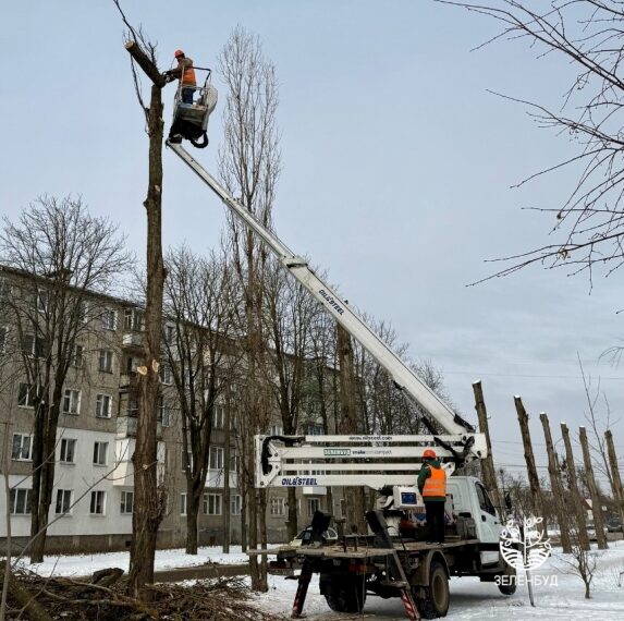 У Сумах “омолоджують” дерева | Суми та область