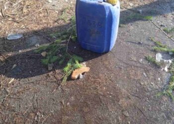 У Великій Писарівці виявили скинуту із ворожого дрона вибухівку | Суми та область