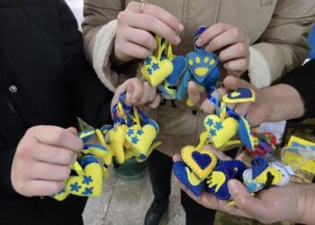 «Закохані в ЗСУ»:  Волонтерський центр «Шостка-Добро» ініціював нову благодійну акцію – Суми та область