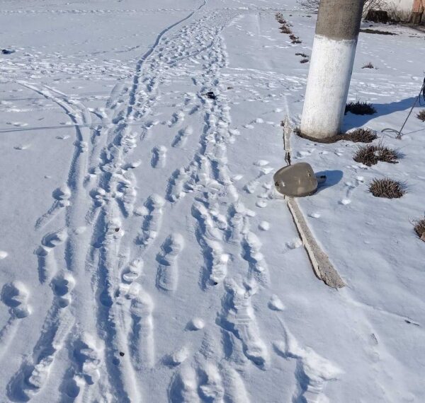 З’явилися фото розкиданої з дрона вибухівки у Великій Писарівці – Суми та область