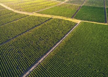 Громаді на Сумщині повернули 10 га заповідної землі, яку протиправно використовувало приватне підприємство | Суми та область