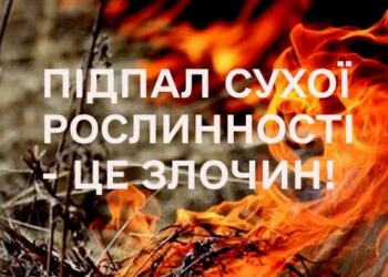 На Сумщині активізувалися палії сухої рослинності | Суми та область