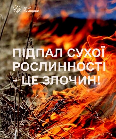 На Сумщині активізувалися палії сухої рослинності | Суми та область