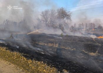 На Сумщині приборкують великі загоряння на відкритих територіях | Суми та область