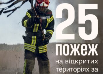 На Сумщині за минулу добу вогнеборці 25 разів залучались до ліквідації пожеж в природних екосистемах | Суми та область
