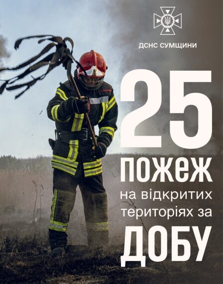 На Сумщині за минулу добу вогнеборці 25 разів залучались до ліквідації пожеж в природних екосистемах | Суми та область