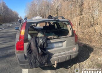 На трасі поблизу Глухова сталася смертельна ДТП через косулю | Суми та область