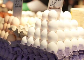 “Не буде низьких цін”:  чому дорожчають курячі яйця | Суми та область