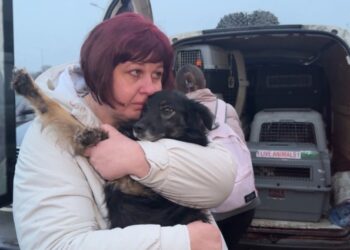 “Вісім місяців не бачив її”: переселенці з Миропілля зустрілися зі своїми улюбленцями | Суми та область