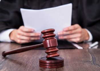 Зрубано 138 дерев: суд ухвалив стягнути з Миколаївського агролісгоспу 2,5 млн | Суми та область