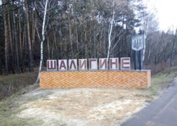 “Мені просто болить за те, що там відбувається”: волонтерка про ситуацію у Шалигинській громаді | Суми та область