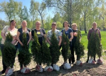 У Кролевці триває весняне озеленення | Суми та область