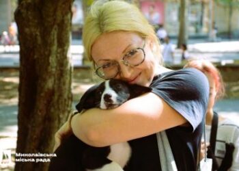 У Миколаєві проведуть підрахунок безпритульних собак » Миколаївський Оглядач