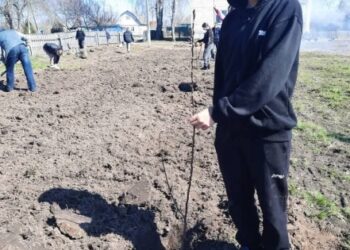 У Шосткинській громаді школярі посадили сад на честь захисників | Суми та область