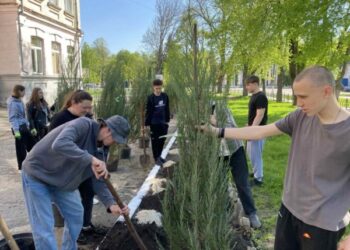 Учні Кролевецької гімназії № 5 висадили дерева пам’яті | Суми та область