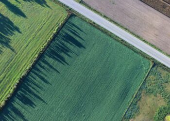 Буринська мерія відсудила землю вартістю більше мільярда гривень | Суми та область