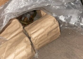 Гранати, запали до них та набої – поліцейські викрили миколаївця на незаконному зберіганні озброєння » Миколаївський Оглядач