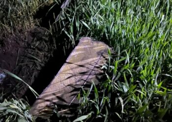 На Сумщині прикордонники збили три Шахеди, Ланцет і  9 FPV-дронів | Суми та область