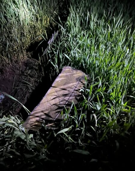 На Сумщині прикордонники збили три Шахеди, Ланцет і  9 FPV-дронів | Суми та область