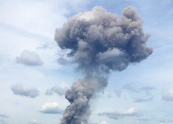 На Сумському напрямку Сили оборони «стерли у попіл» позицію російських розвідників | Суми та область