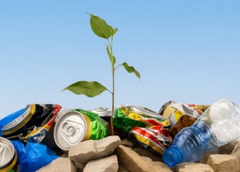 Охтирка планує розробити план управління відходами за 1,3 млн грн | Суми та область