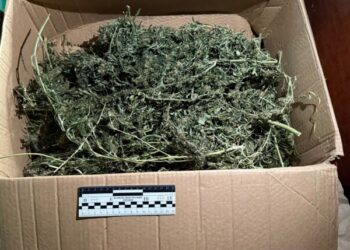 У Лебедині поліцейські вилучили близько півкілограма наркотичного засобу | Суми та область