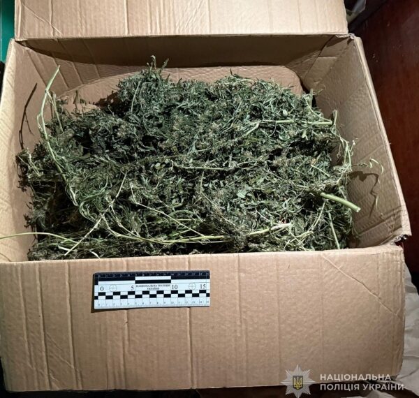 У Лебедині поліцейські вилучили близько півкілограма наркотичного засобу | Суми та область