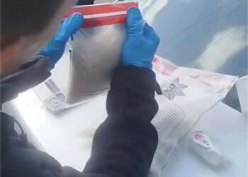 У Первомайську поліцейські затримали молодика за збут наркотиків у коробах з кормом » Миколаївський Оглядач