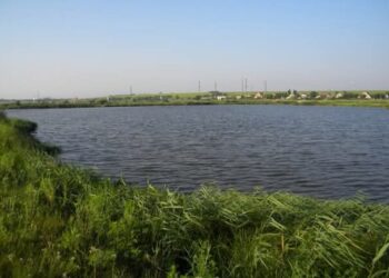В Одесской области расторгли договор на расчистку русла реки Барабой: причина