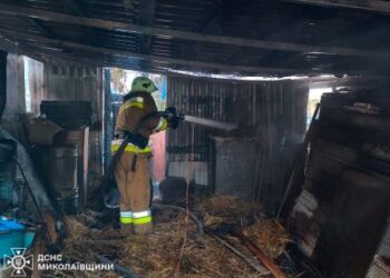 17 червня та в ніч проти 18 підрозділи ДСНС у Миколаївській області загасили 23 пожежі » Миколаївський Оглядач