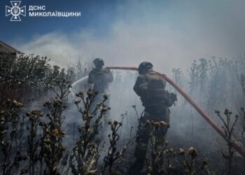 26 червня та в ніч проти 27 вогнеборці ліквідували 31 пожежу в екосистемах на Миколаївщині » Миколаївський Оглядач