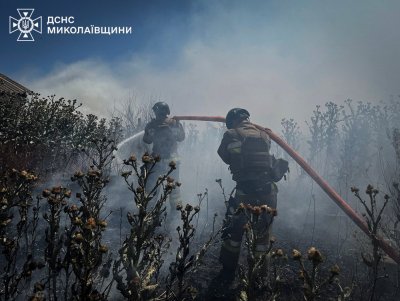 26 червня та в ніч проти 27 вогнеборці ліквідували 31 пожежу в екосистемах на Миколаївщині » Миколаївський Оглядач