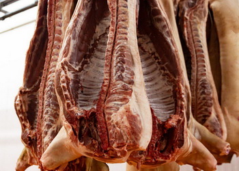 Вміст і якість жиру в свинячій туші регулюється раціоном тварин – Економіка