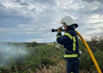 Пожежі в Миколаївській області: суха трава, сміттєвий контейнер і підгоріла їжа в квартирі » Миколаївський Оглядач