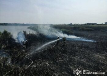 В мікрорайоні Ракетне урочище горить очерет » Миколаївський Оглядач