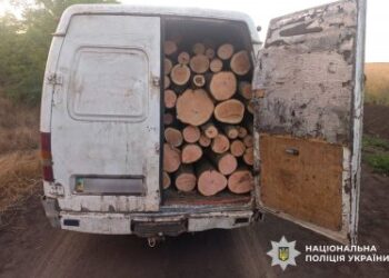 Завдали мільйонних збитків: на Миколаївщині поліцейські викрили «чорних лісорубів» » Миколаївський Оглядач