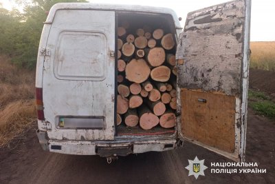 Завдали мільйонних збитків: на Миколаївщині поліцейські викрили «чорних лісорубів» » Миколаївський Оглядач