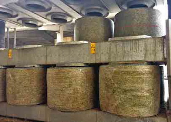 Кілька укосів люцерни за рік отримують за правильного скошування – Економіка